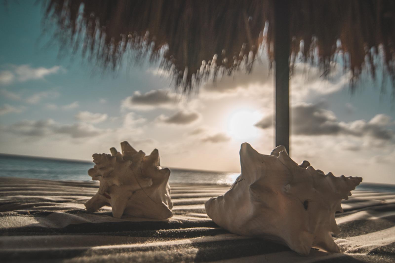 Luxury Bonaire villa private beach experience with conch shells on a lounge chair under a palapa at sunset over the Caribbean ocean.